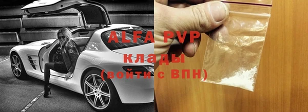 стафф Алзамай