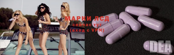 стафф Алзамай