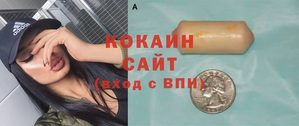 стафф Алзамай