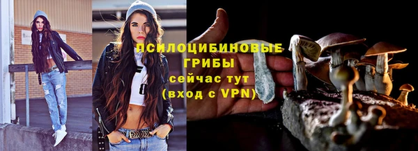 мяу мяу кристалл Алексин