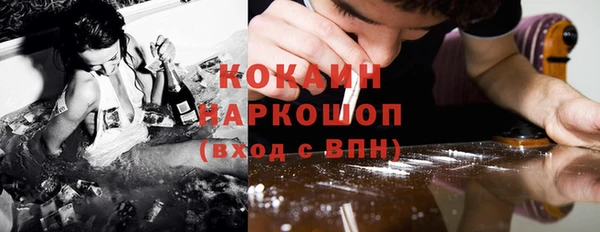 гашик Сосновка