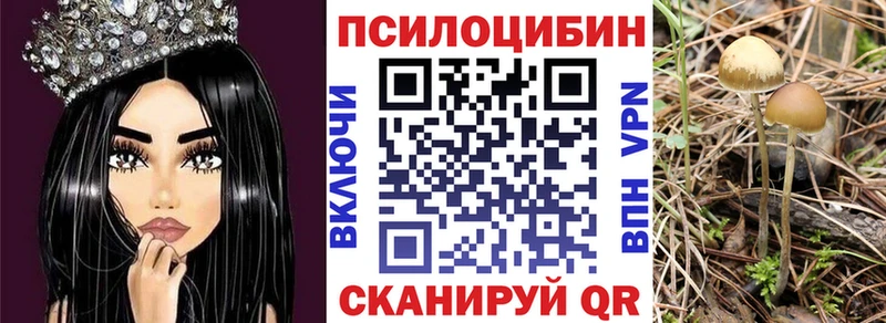 наркотики  Аткарск  mega рабочий сайт  Галлюциногенные грибы мухоморы 